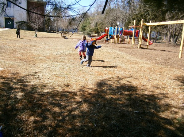 Fledglings testing their wings!