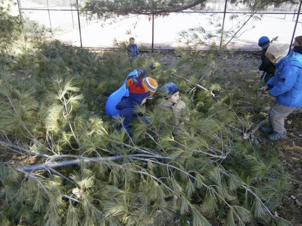 OLYMPUS DIGITAL CAMERA